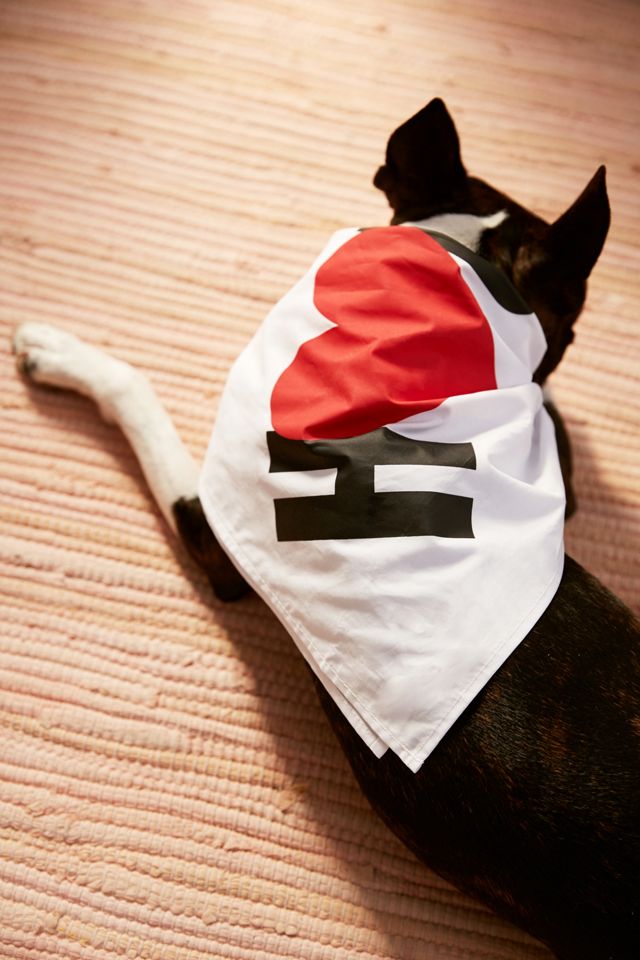 UO Community Cares + Houston Humane Society Pet Bandana #3