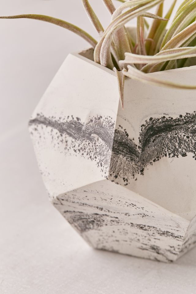 Concrete Geometric X UO Dodecahedron Marble Planter #1