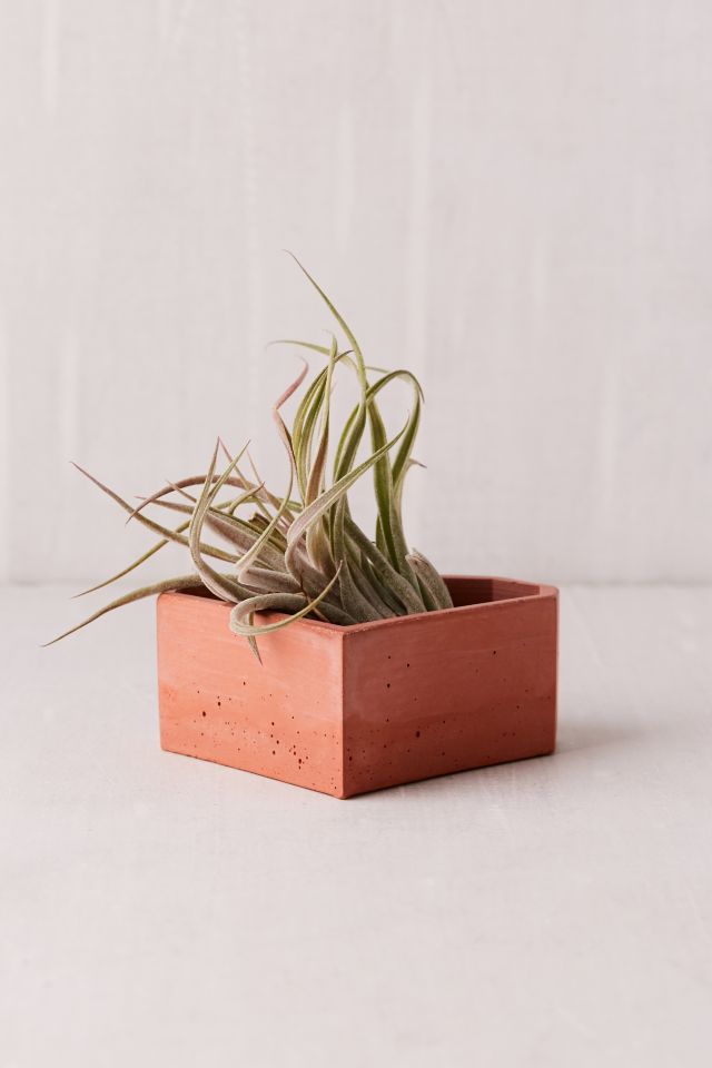 Concrete Geometric X UO Heart Planter #1