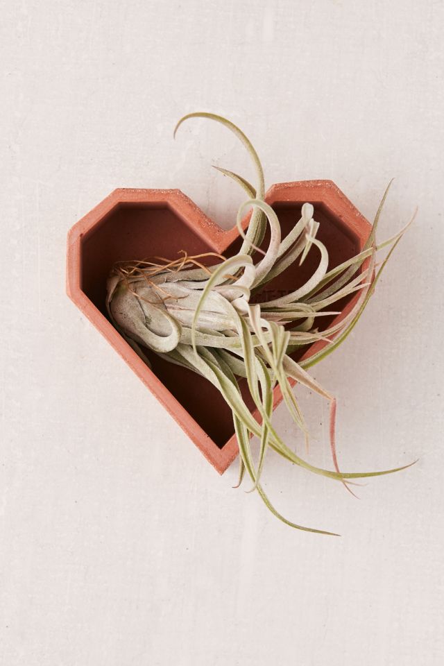 Concrete Geometric X UO Heart Planter #4