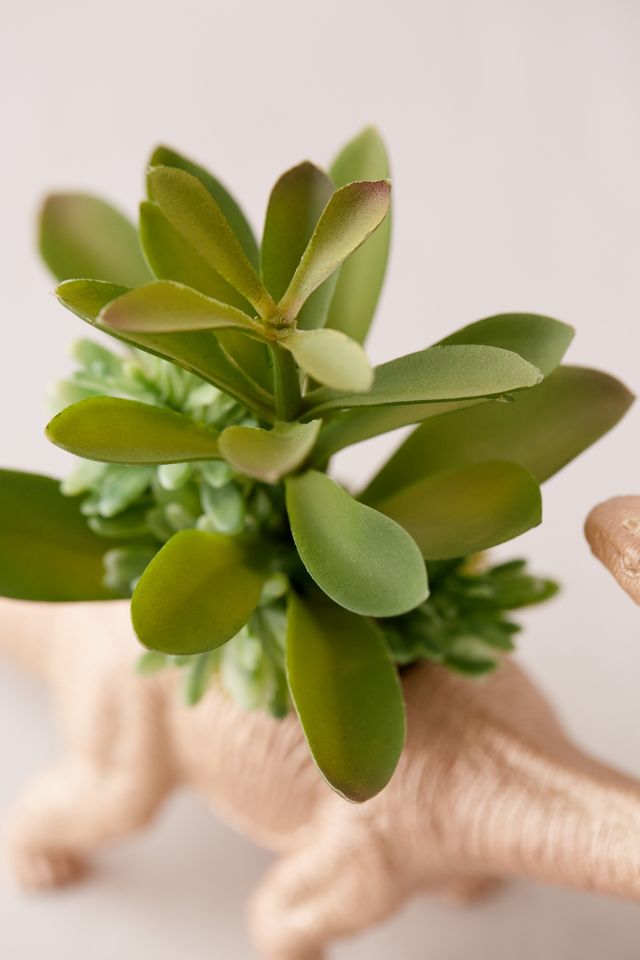 Upcycled Brontosaurus Faux Succulent Planter #1