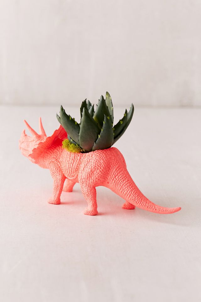 Upcycled Triceratops Faux Succulent Planter #1