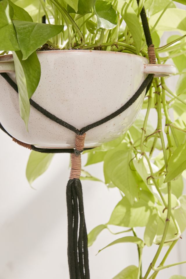Edda 8" Planter + Hanger Set #1