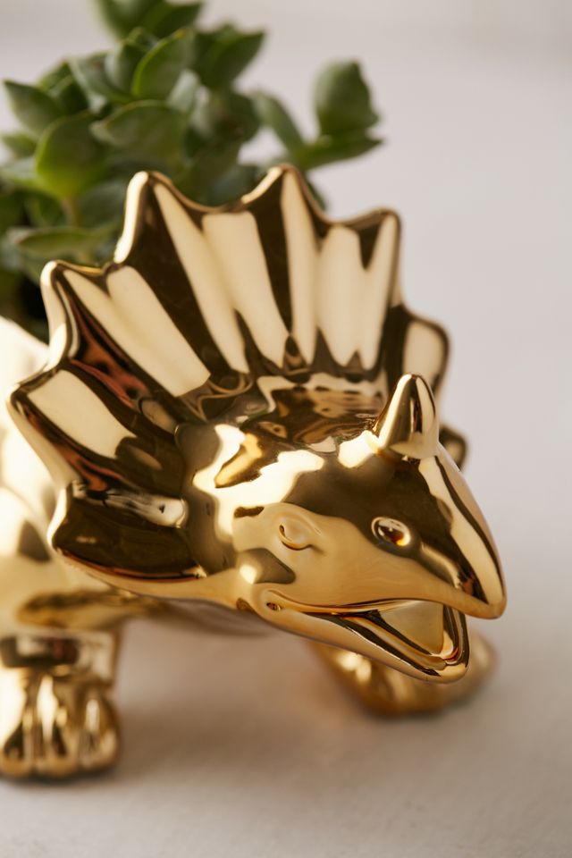 Tyler Triceratops Planter #1