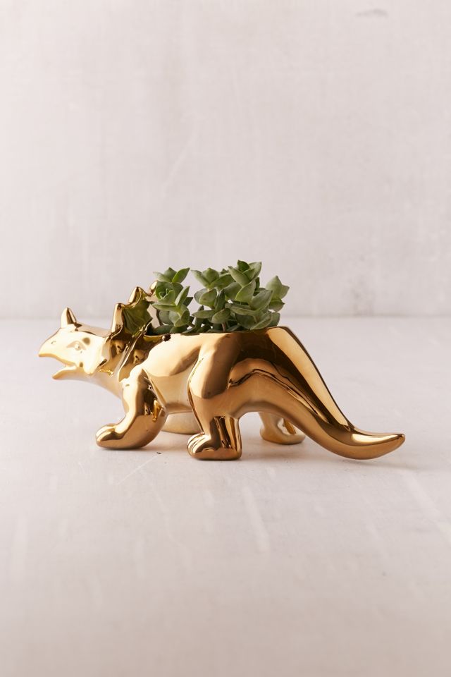 Tyler Triceratops Planter #2