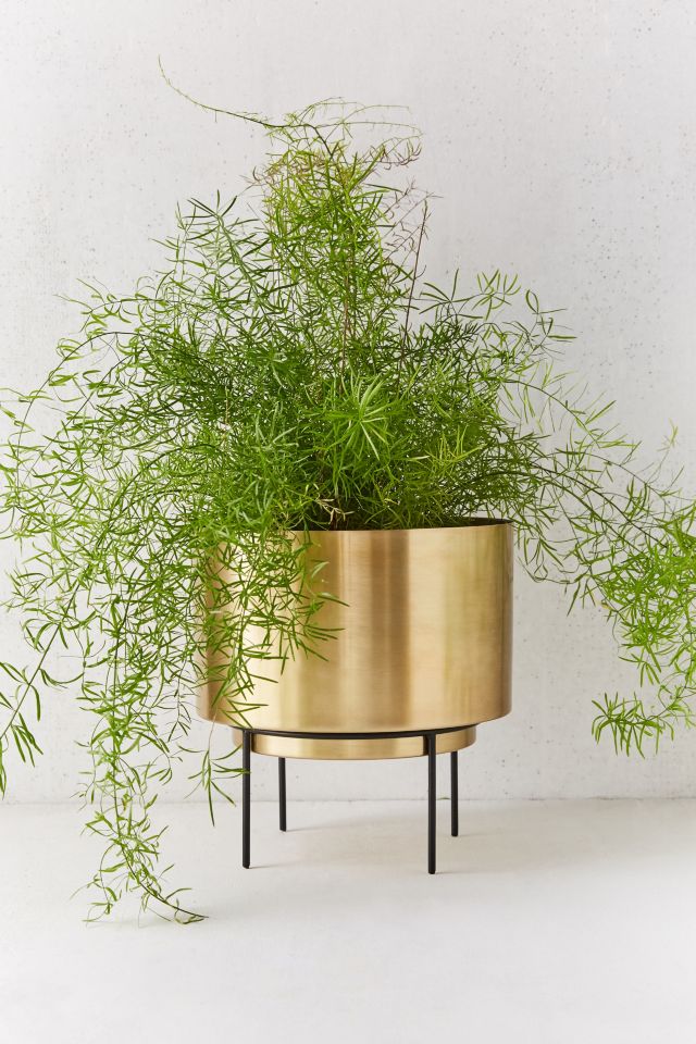 Adelphi 10” Planter
