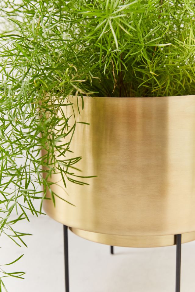 Adelphi 10” Planter #1