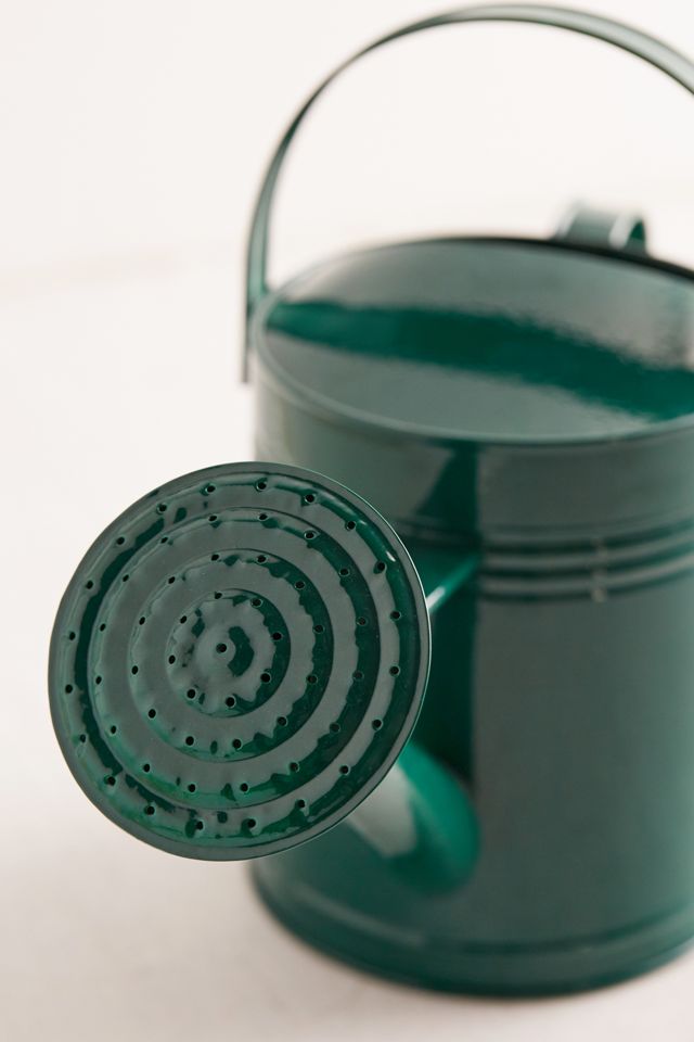 Chinatown Market For UO Watering Can #3