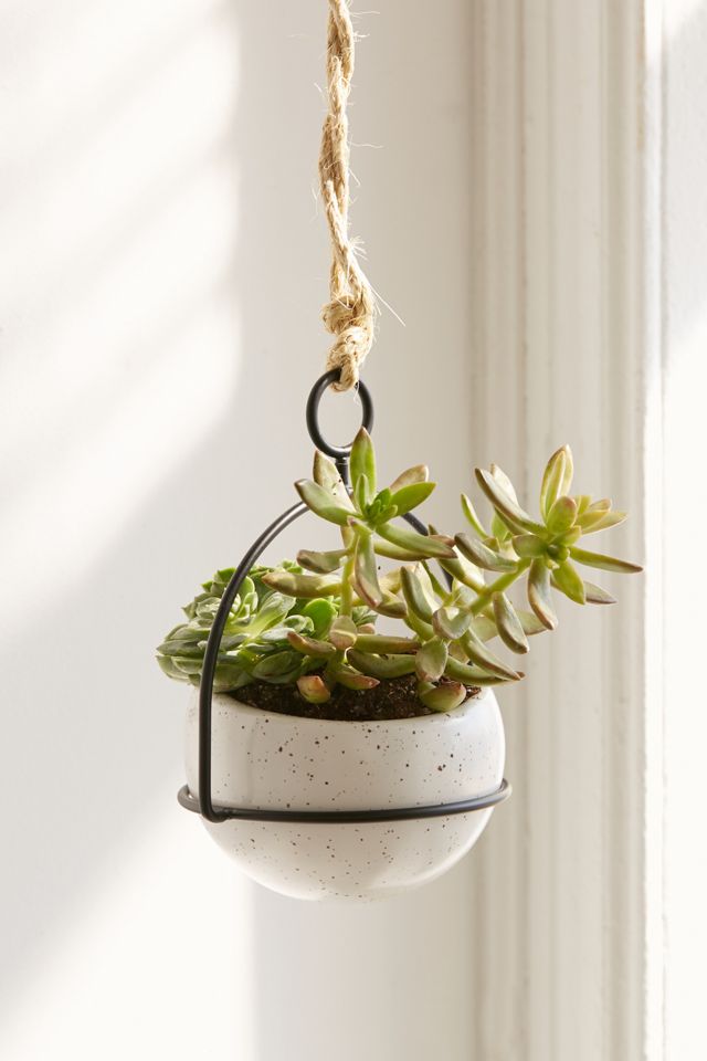 Mila Convertible Planter #1