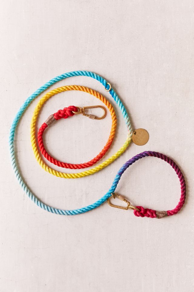 Found My Animal Rainbow Ombre Leash #1