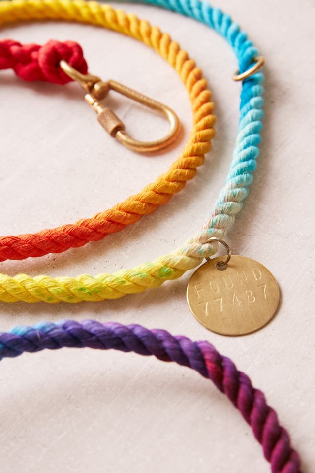 Found My Animal Rainbow Ombre Leash #2
