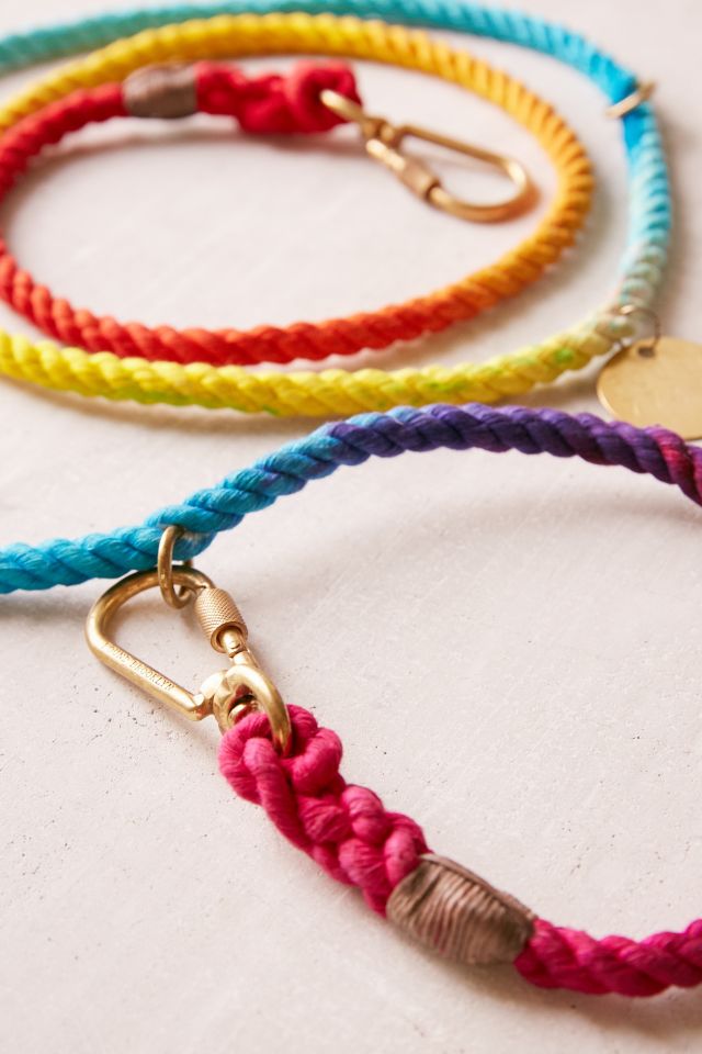 Found My Animal Rainbow Ombre Leash #3