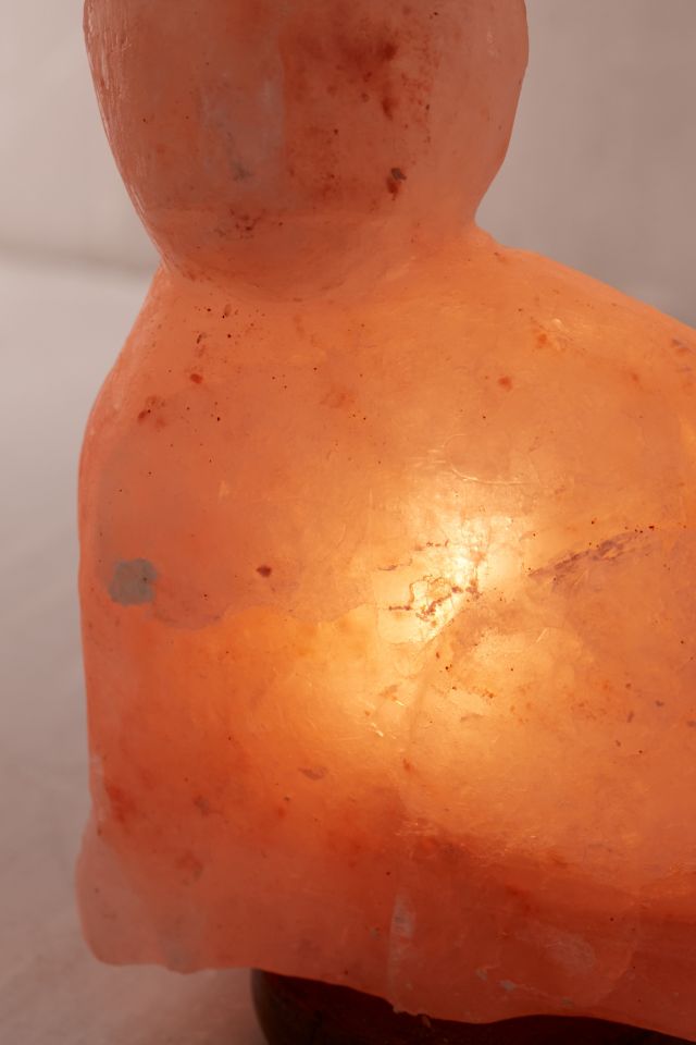 Cat Himalayan Salt Lamp #3