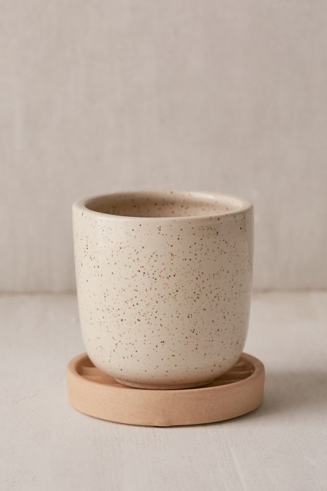 Parker 4" Planter + Drainage Tray Set #1