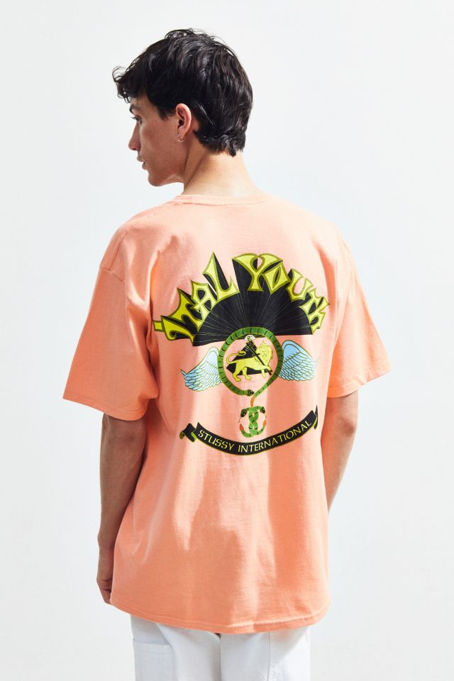 Stussy Ital Youth Tee #4