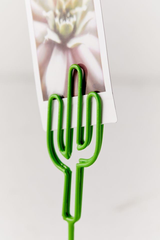 Cactus Photo Clip #2