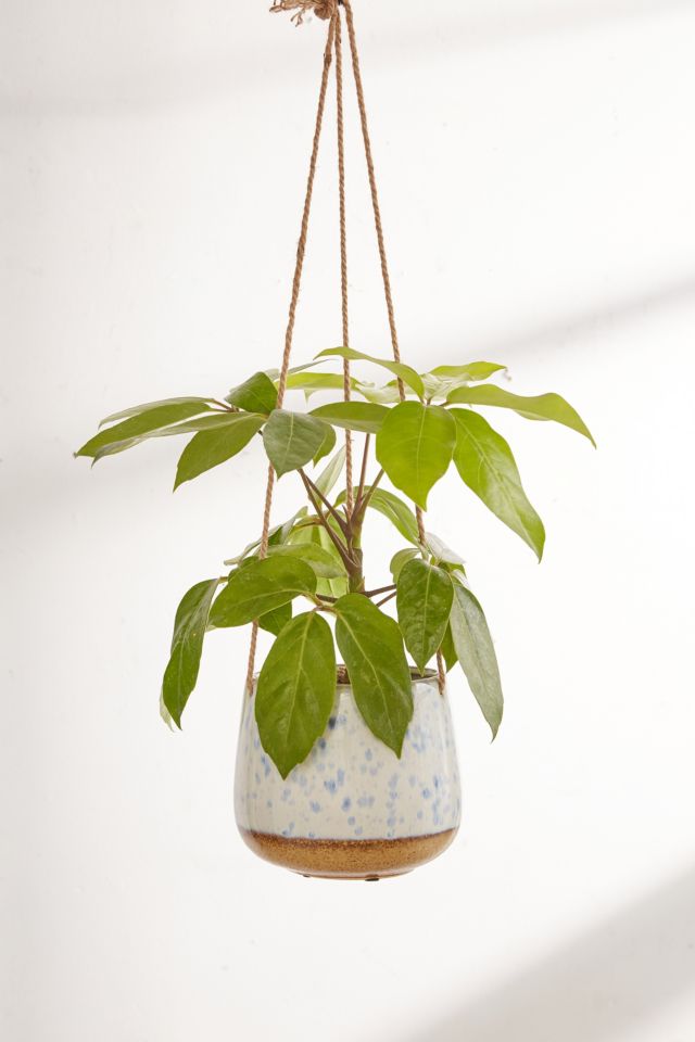 Speckled Ceramic Hanging Planter #1