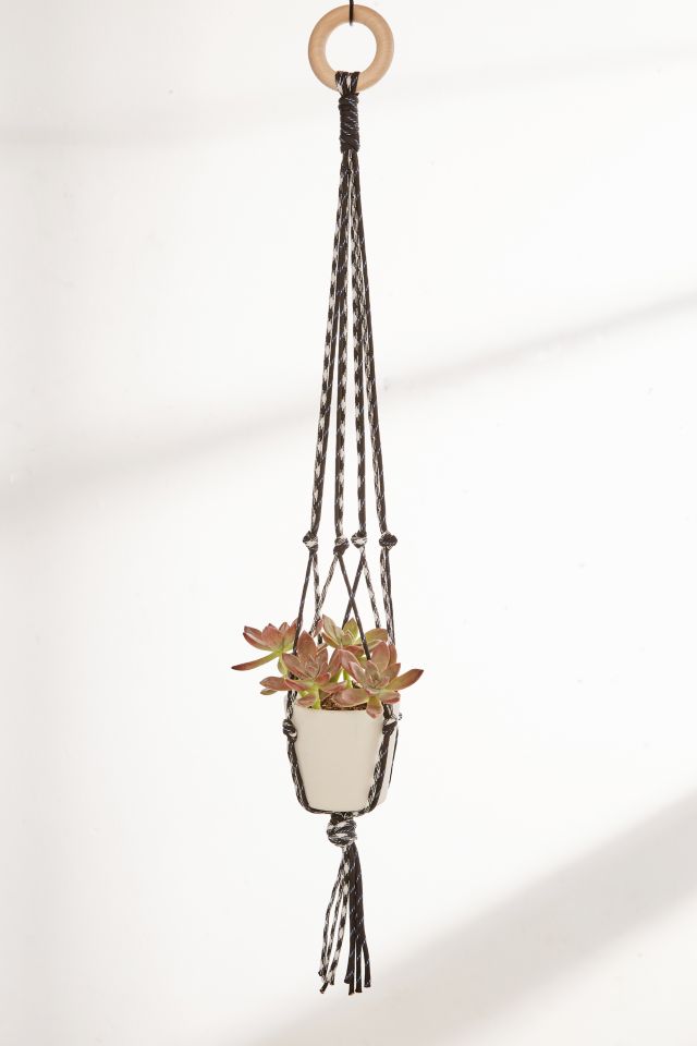 Jardinière suspendue en paracorde #1