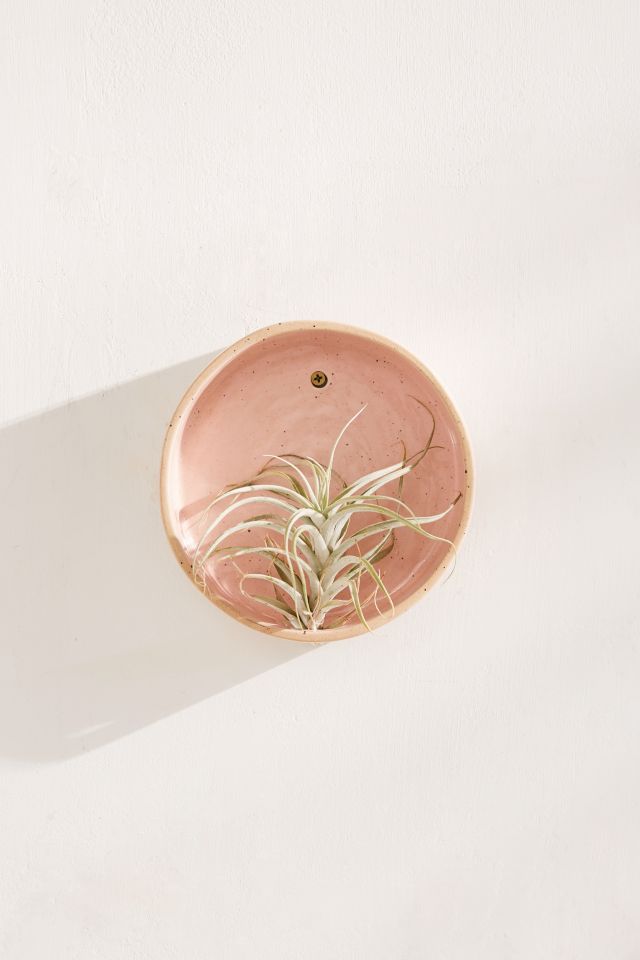 Simi Air Plant Holder