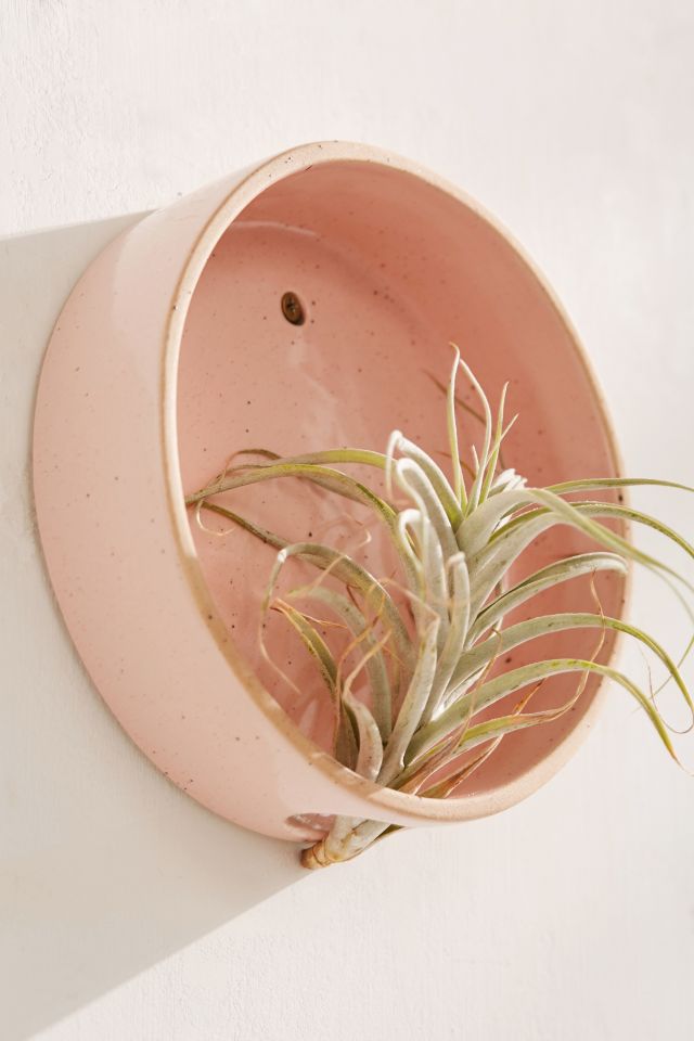 Simi Air Plant Holder #1