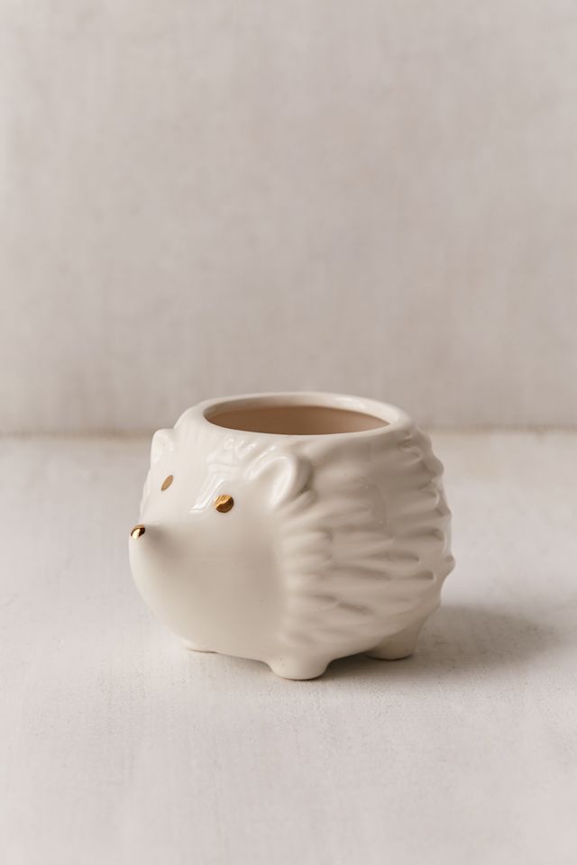 Plum & Punch Hedgehog Planter #2