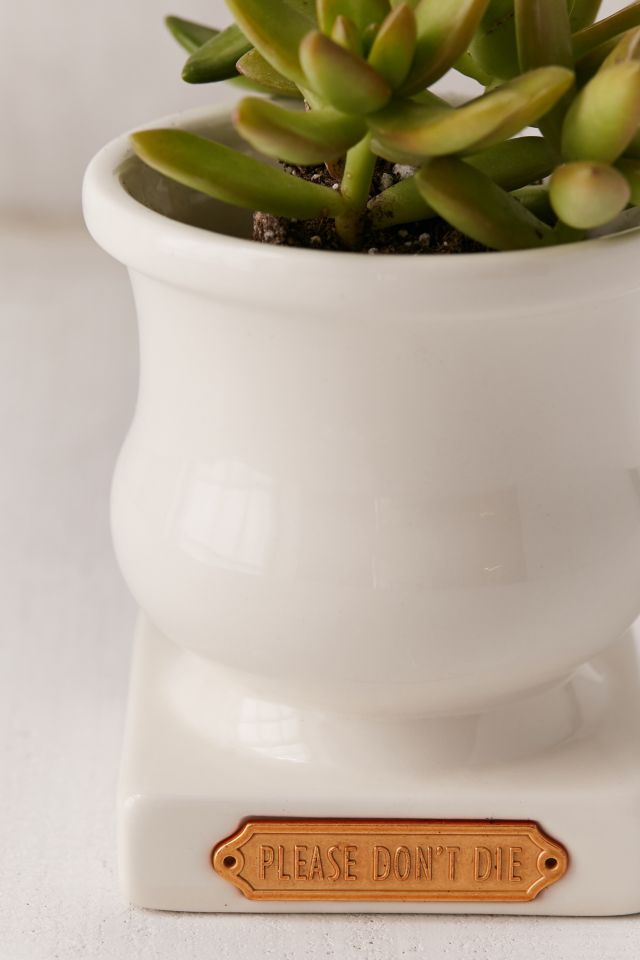 Plum & Punch Please Don't Die Planter #1