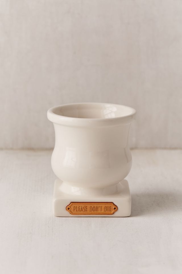 Plum & Punch Please Don't Die Planter #2