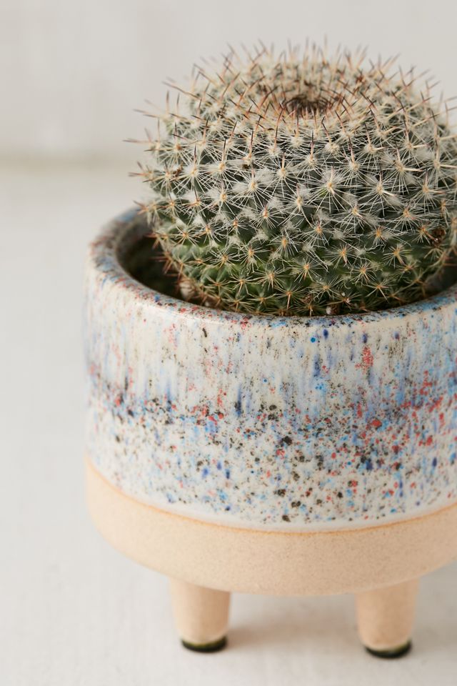 Liv 3” Footed Planter #1
