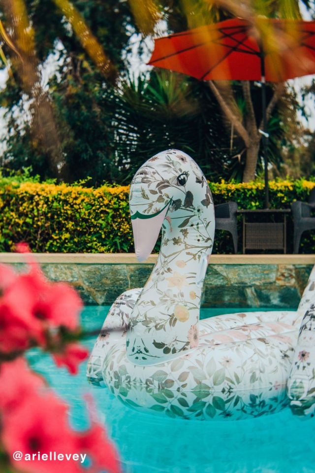 FUNBOY For UO Floral Swan Pool Float #4