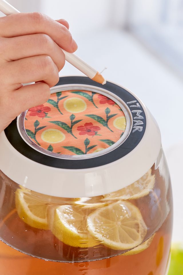 Kombucha Kit #1