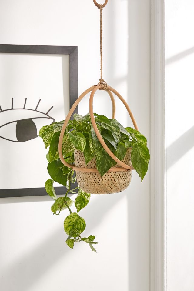 Margot 7" Hanging Planter #3