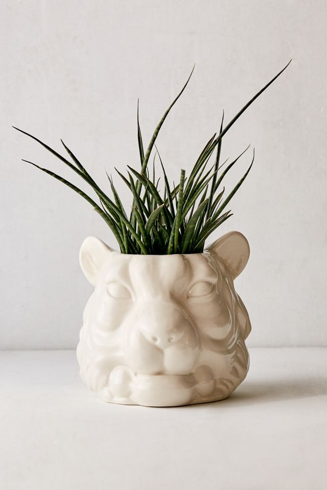Small Tiger Planter | Urban Outfitters