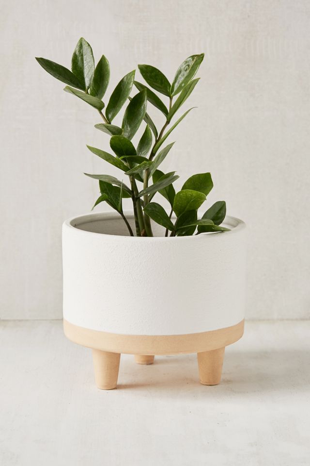 Liv 8” Footed Planter #1