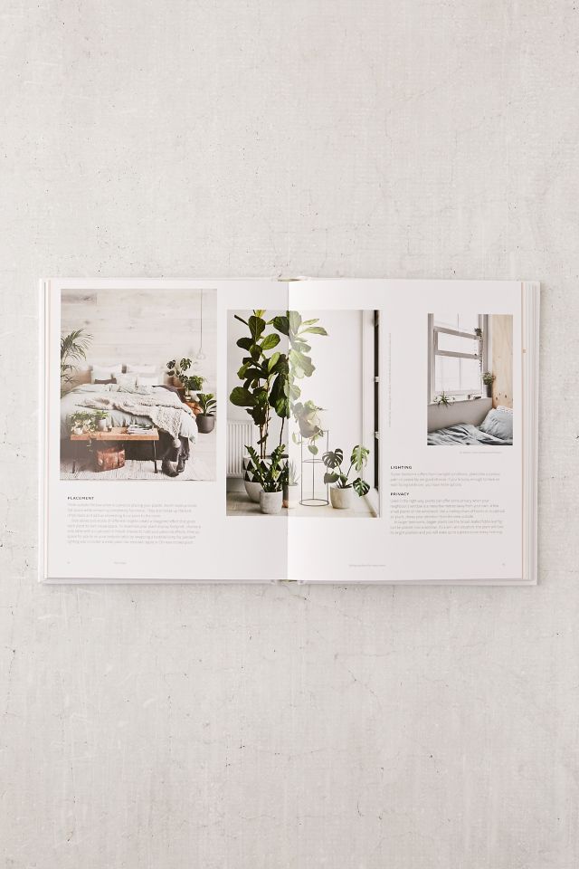 Plant Style By Alana Langan & Jacqui Vidal #4