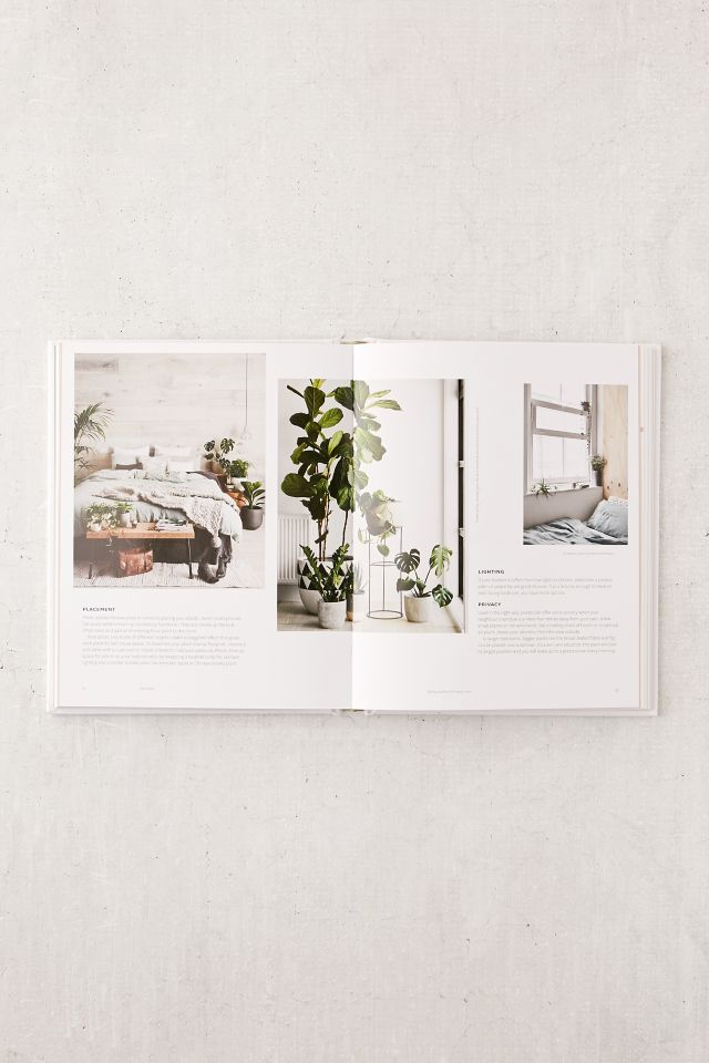 Plant Style By Alana Langan & Jacqui Vidal #5