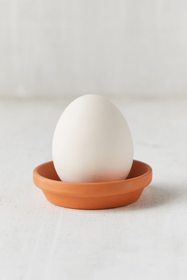 DIY Eggling Planter #1