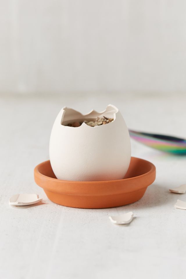 DIY Eggling Planter #3