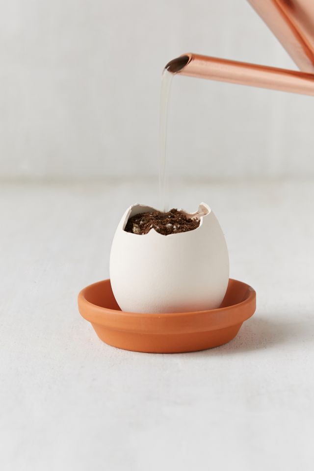 DIY Eggling Planter #4
