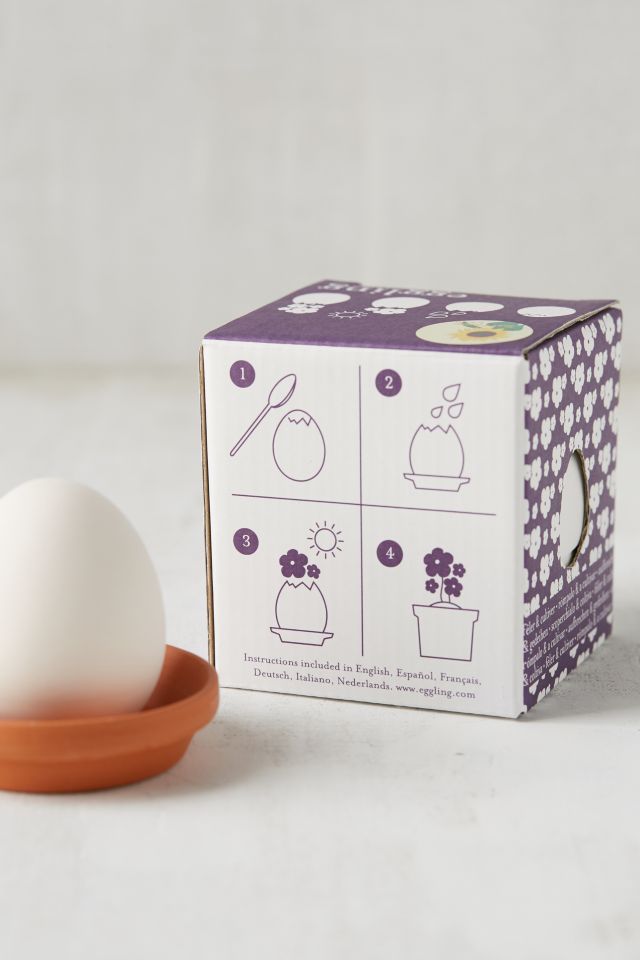 DIY Eggling Planter #5