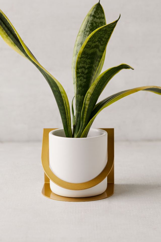 Kai Metal Bent Planter #3