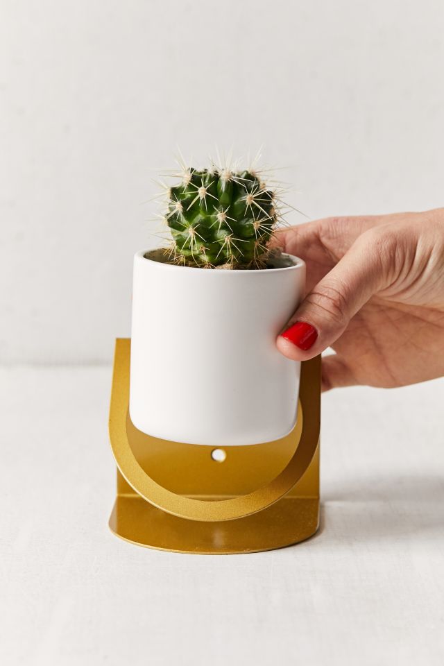 Kai Metal Bent Planter #5