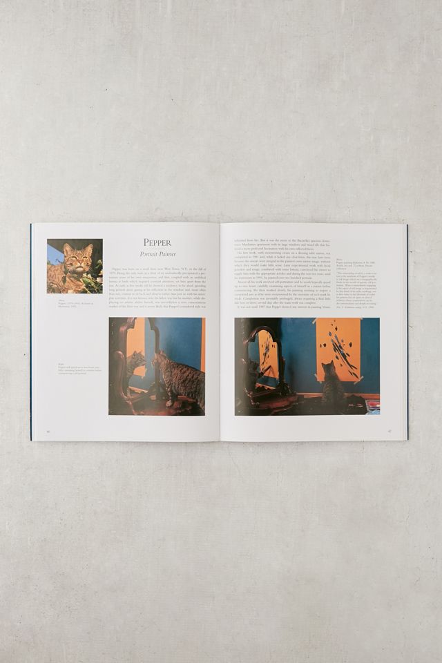 Why Paint Cats by Burton Silver, Heather Busch