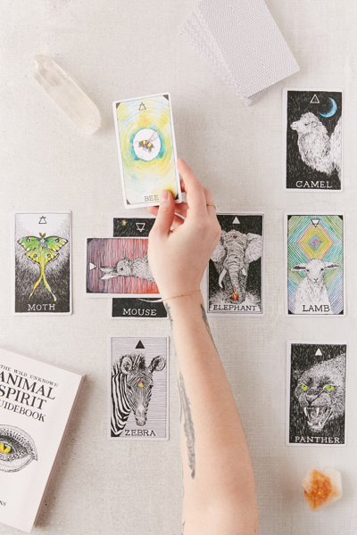 The Wild Unknown Animal Spirit Deck And Guidebook - Mazo De Cartas De Espíritu Animal Con Libro Guía Ilustrado