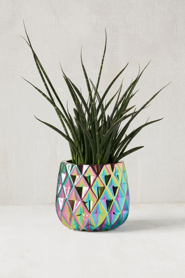 Geo Oil Slick Planter