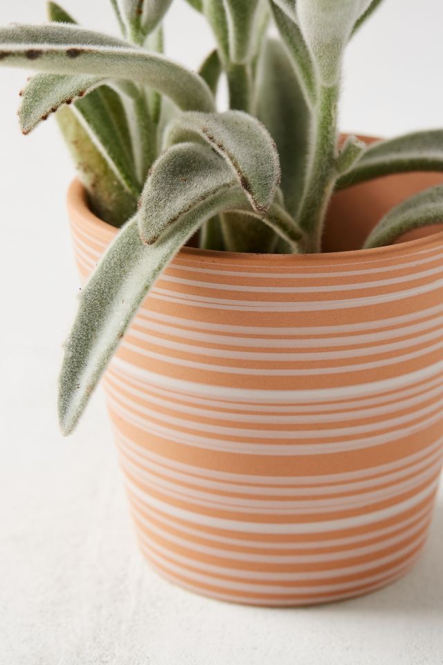 Nova Terracotta Planter #2