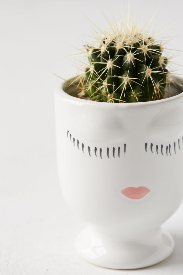 Jardinière Celfie #1