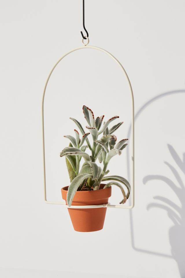 NewMade LA For UO Hanging Planter #1