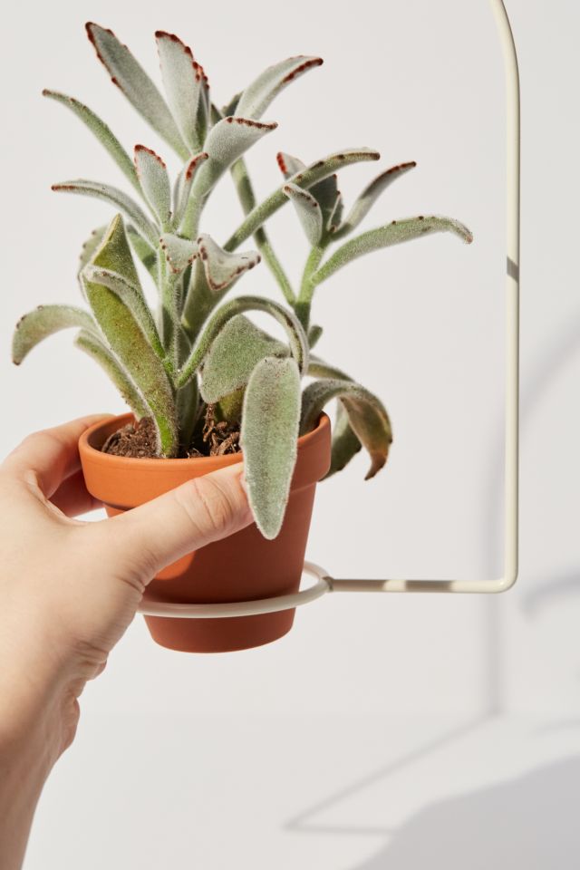 NewMade LA For UO Hanging Planter #2
