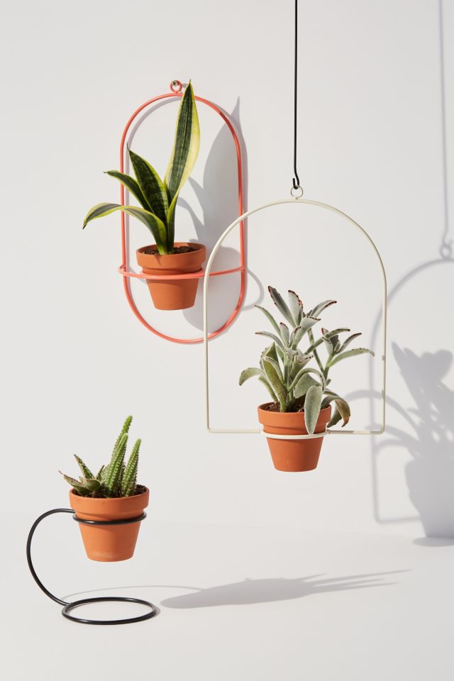 NewMade LA For UO Hanging Planter #3