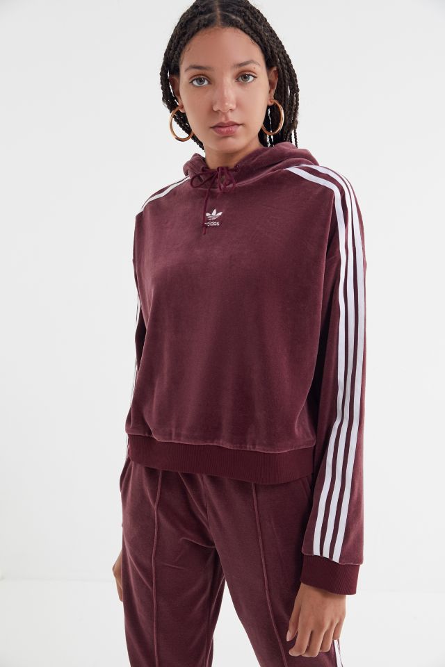 Adidas velvet on sale cropped hoodie sweatshirt